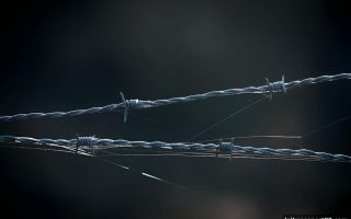 菲律宾真人荷官监管变局：雷火电竞带你看清合规与风险全貌