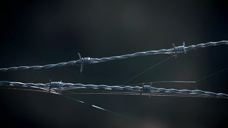 菲律宾真人荷官监管变局：雷火电竞带你看清合规与风险全貌